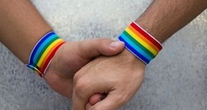 para homoseksualna