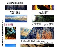 wystawa grzybek