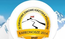 xi swiatowe igrzyska polonijne 2014