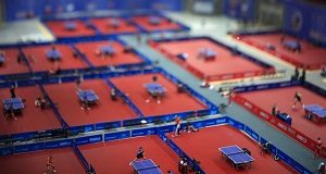 pin pong