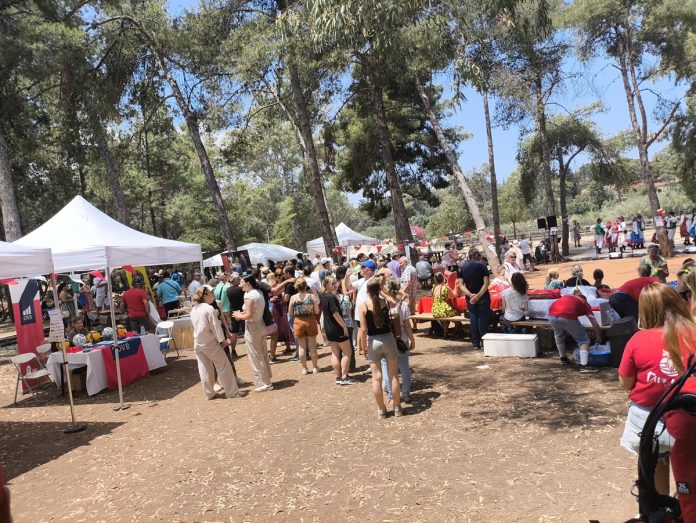 Polonijny Piknik Polonoramy